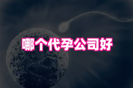 哈尔滨助孕网 1