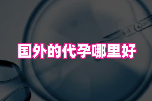 哈尔滨助孕网 2