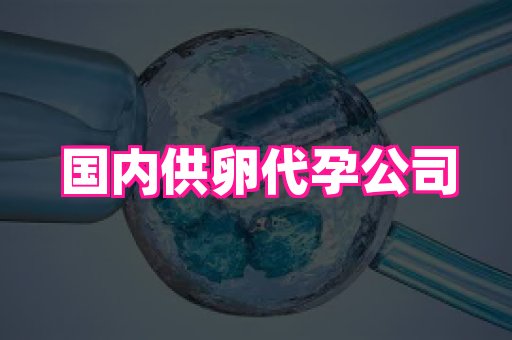 哈尔滨助孕网 3