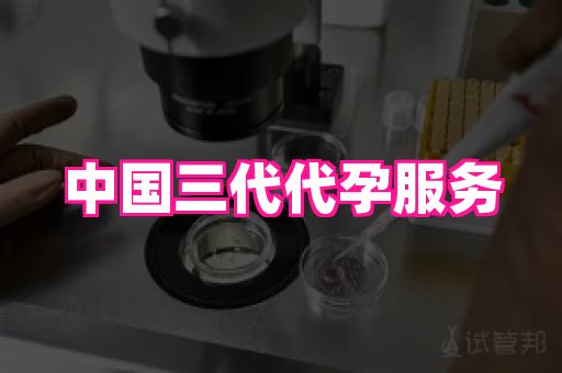 哈尔滨助孕网 4